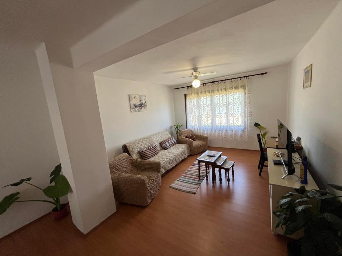 Apartman Velojic Donji Milanovac Zewnętrze zdjęcie